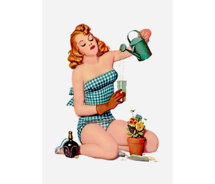 Pin-Up Girl W1.oman Pin Up Pin Up Girl Girl Female